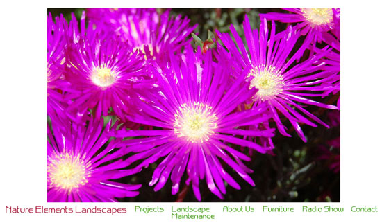 NE Landscapes